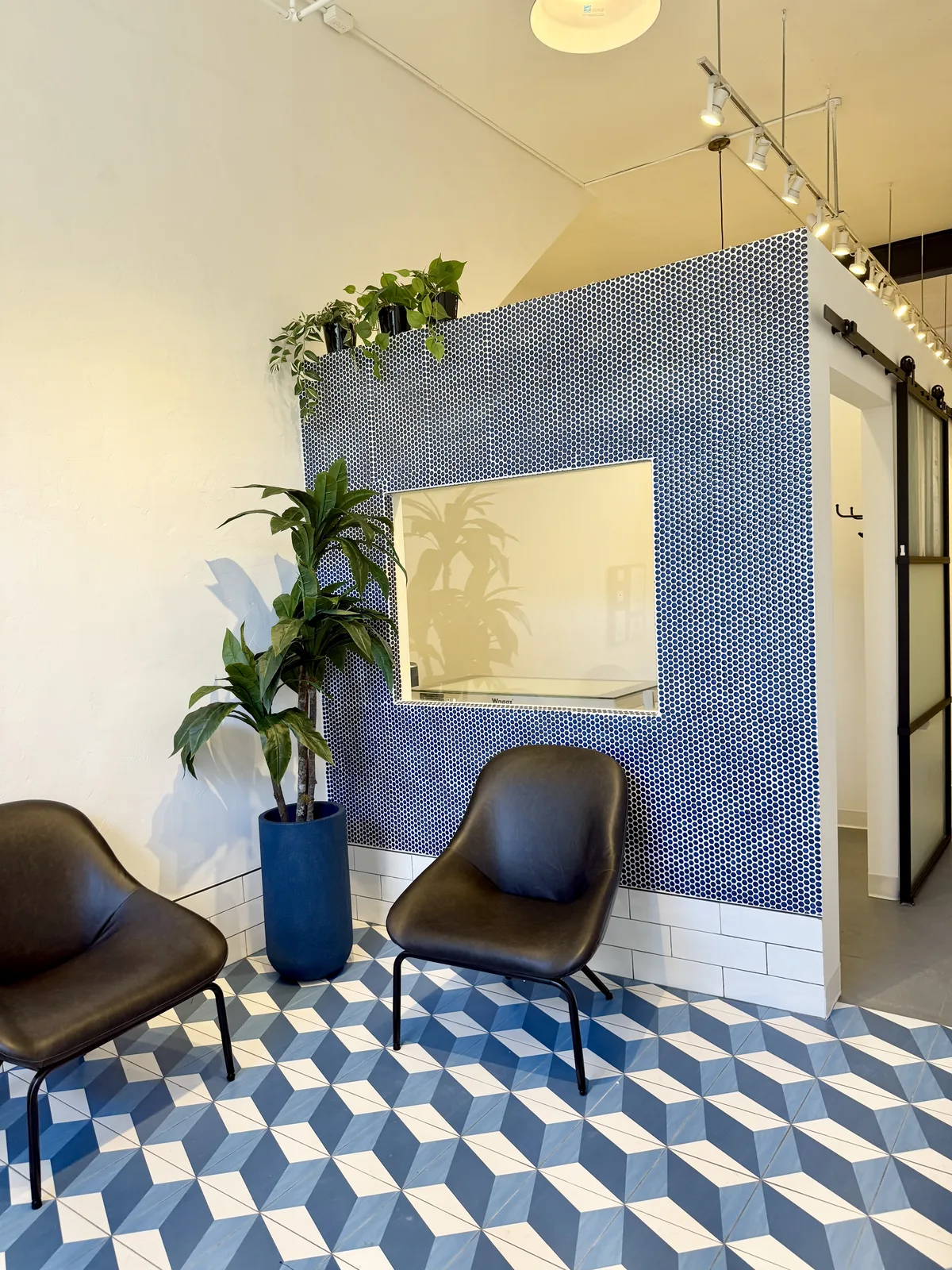 The Snout Studios grooming lobby in Echo Park, Los Angeles