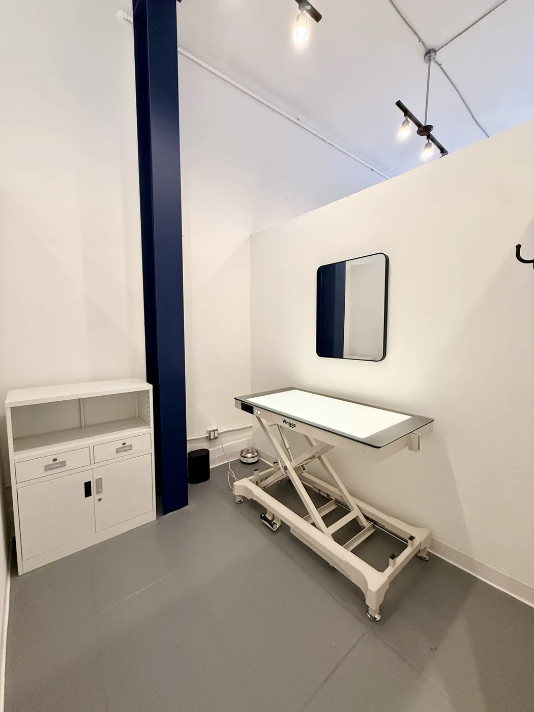 A quiet, enclosed private grooming room at the Echo Park studio