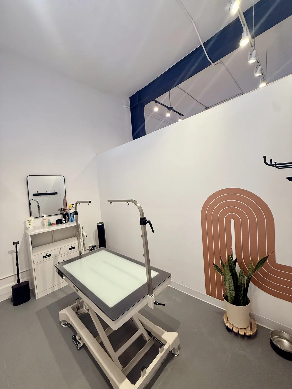 A private Snout Studios grooming suite with a Waggz adjustable table, mirror vanity, plant, and terracotta arch mural