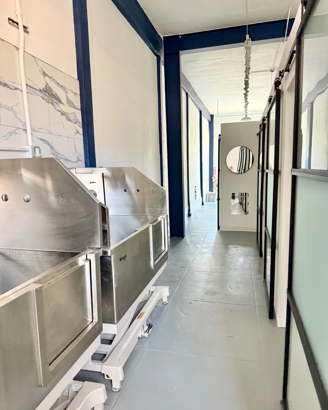 Professional ramp-access bathing stations at Snout Studios